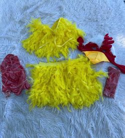 Women’s chicken costume