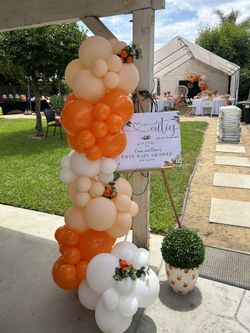 Balloons & Backdrops 