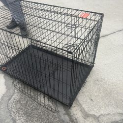 Large Dog Cage! With Divider 