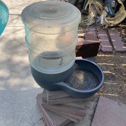 Water Bottle For Dogs 