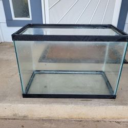 20 Gallon Tank!