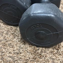 2 Ten Pound Weights
