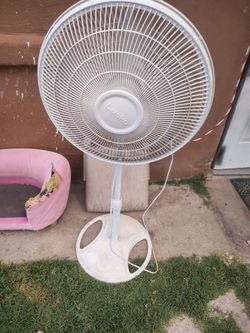 Ventilador lasco