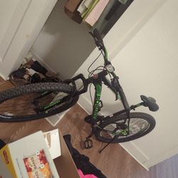 Adult Unisex Bike