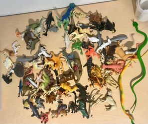 Lots of Animals. 25451 Boxelder dr 92563
