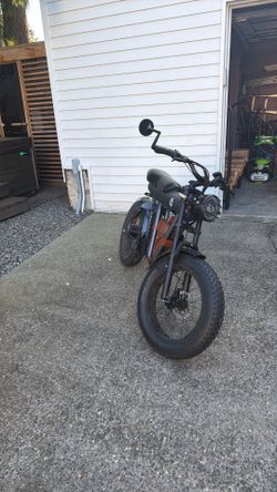 YYG electric bike