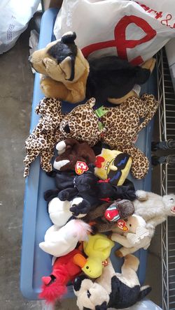 15 different size beanie babies new best offer
