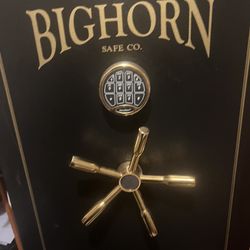 Bighorn Gun Safe 