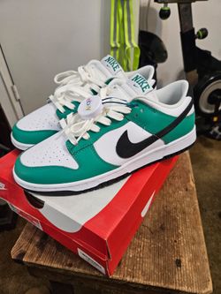 New in box Nike dunks men's 9.5