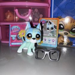 Littlest Pet Shop G7 S5 #466 Great Dane Dog