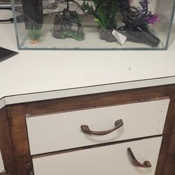 Three and a half gallon aquarium kitl