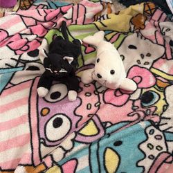 tiny plush cat and white seal 