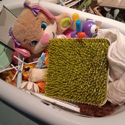 Bathtub & Toys