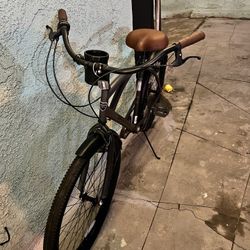 Beach Cruiser 