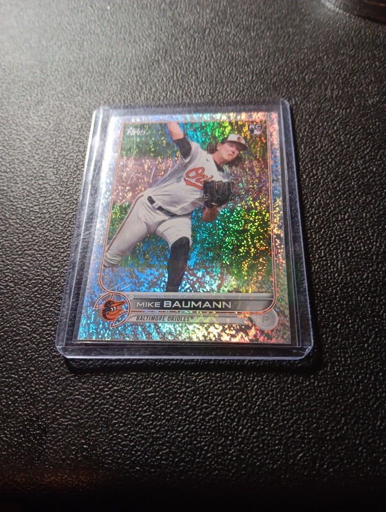 2023 Silver Rainbow Speckle