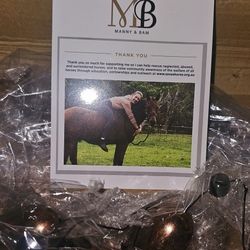 Windchime Horse Love 