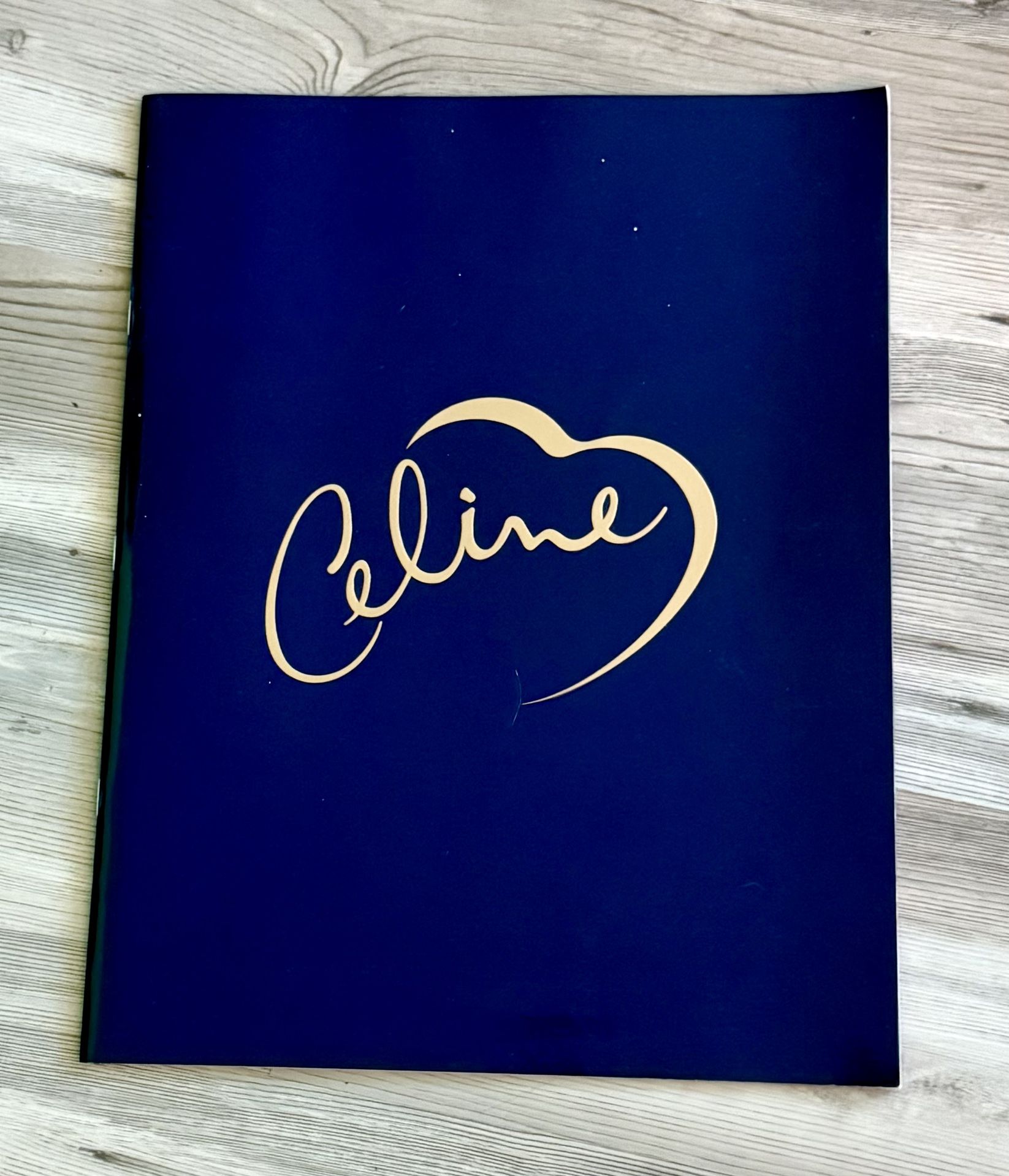 Celine Dion 1999 Aloha Stadium Concert Program + 2 Original Tickets – Rare Memorabilia Set!