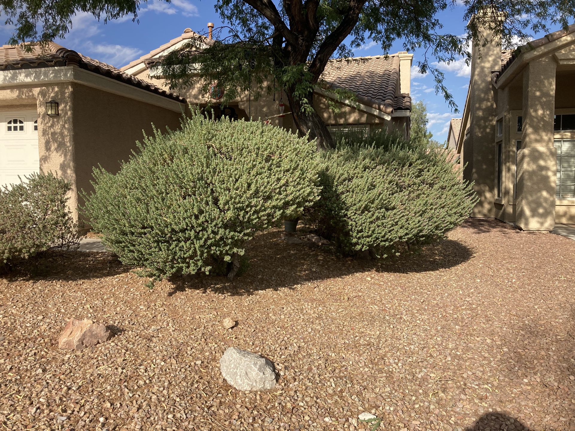 Lawn & Garden And More