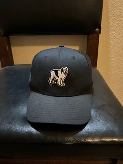 Big dogs sportswear SnapBack mesh trucker hat baseball