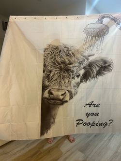 Funny shower curtain brand new