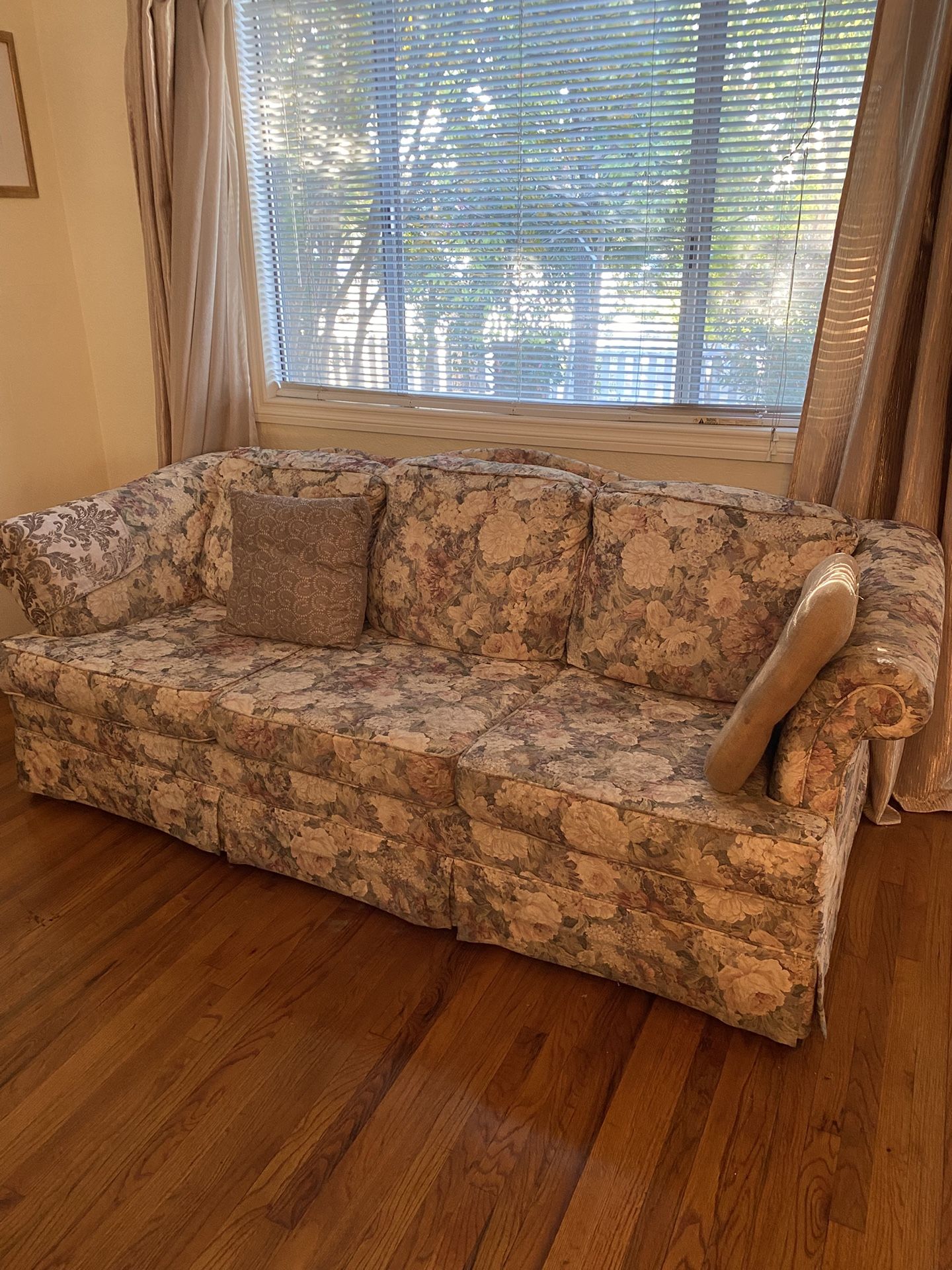 Free Sofa Fold Out Bed