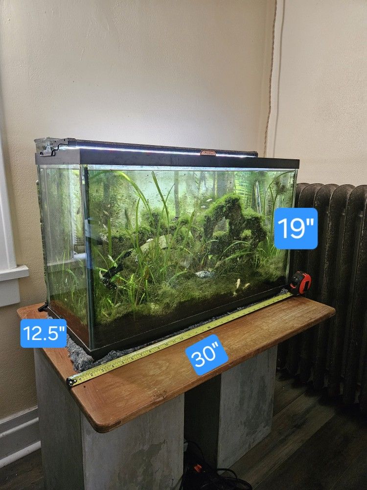 Fish Tank!