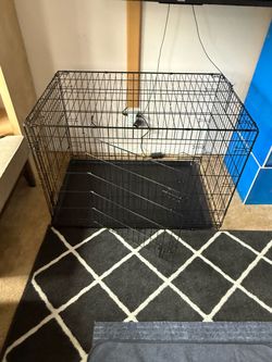 Large Dog  cage