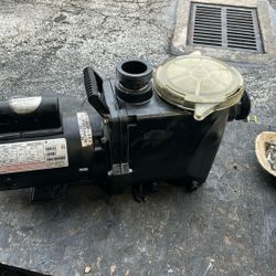 Pool Pump 1.24 HP