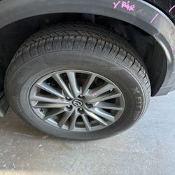Rim