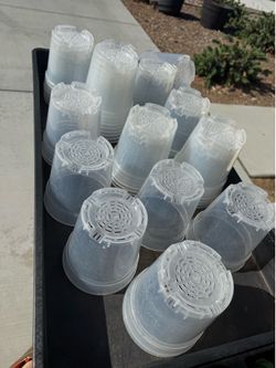 Clear plant pots