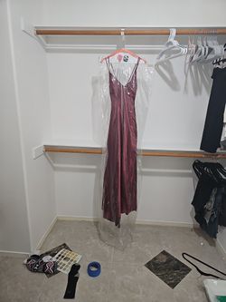 Windsor Formal Dress 👗 