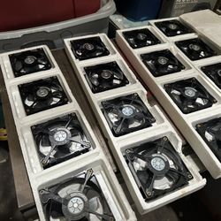 Fans, New