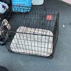 Small Dog Crate