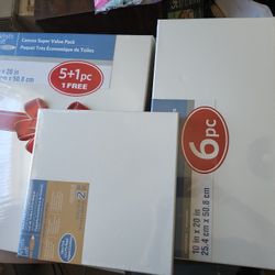 Paimt Canvas Lot