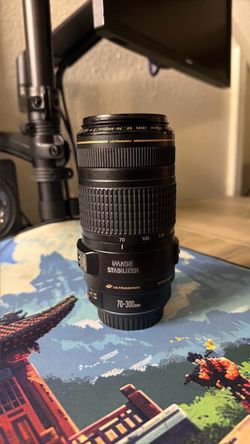 Canon EF 70-300mm IS USM Zoom Lens