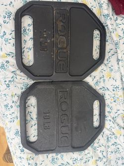 Rogue 10LB echo weight vest plate pair