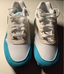 Nike Air Max 1 Dusty Cactus (Women's) - DZ2628-107