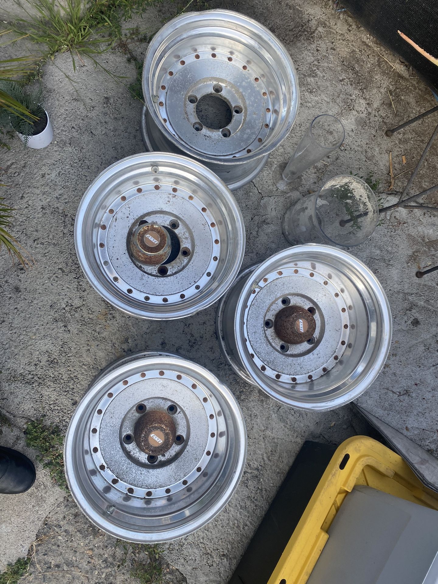 RIMS