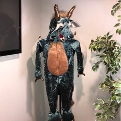 Kids Dragon Costume