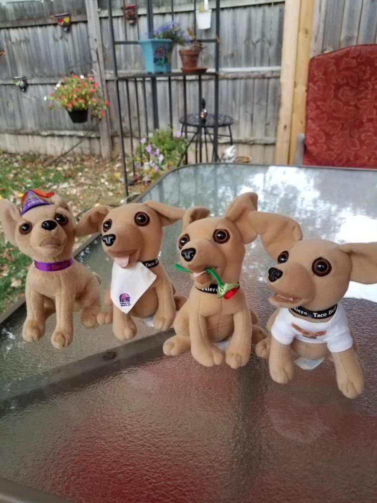 Taco Bell chihuahua dog lot