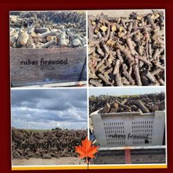 Firewood 