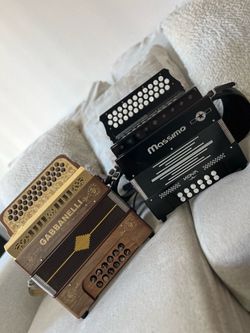 Acordeon / accordion
