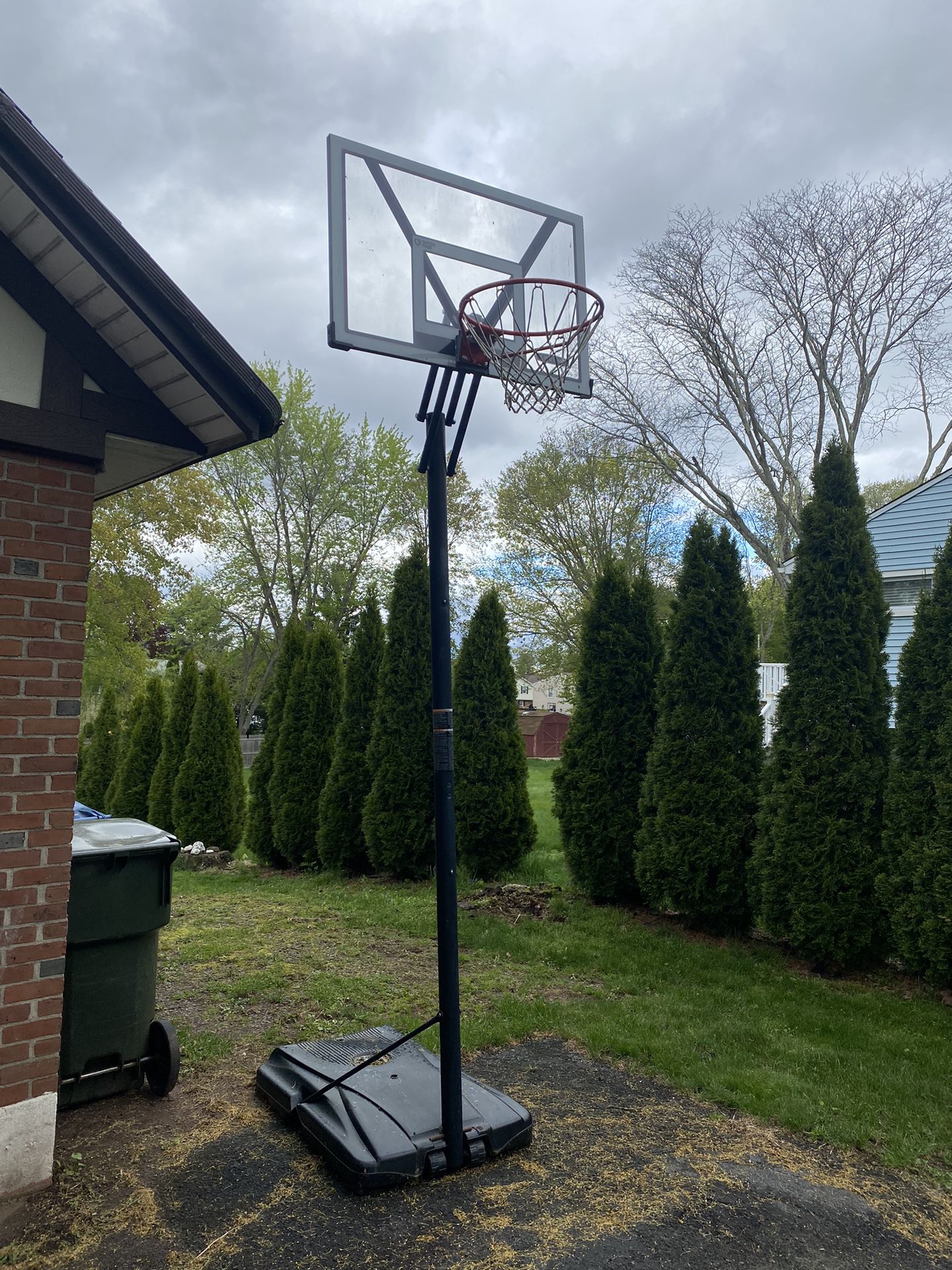 Lifetime Outdoor Basketball Hoop