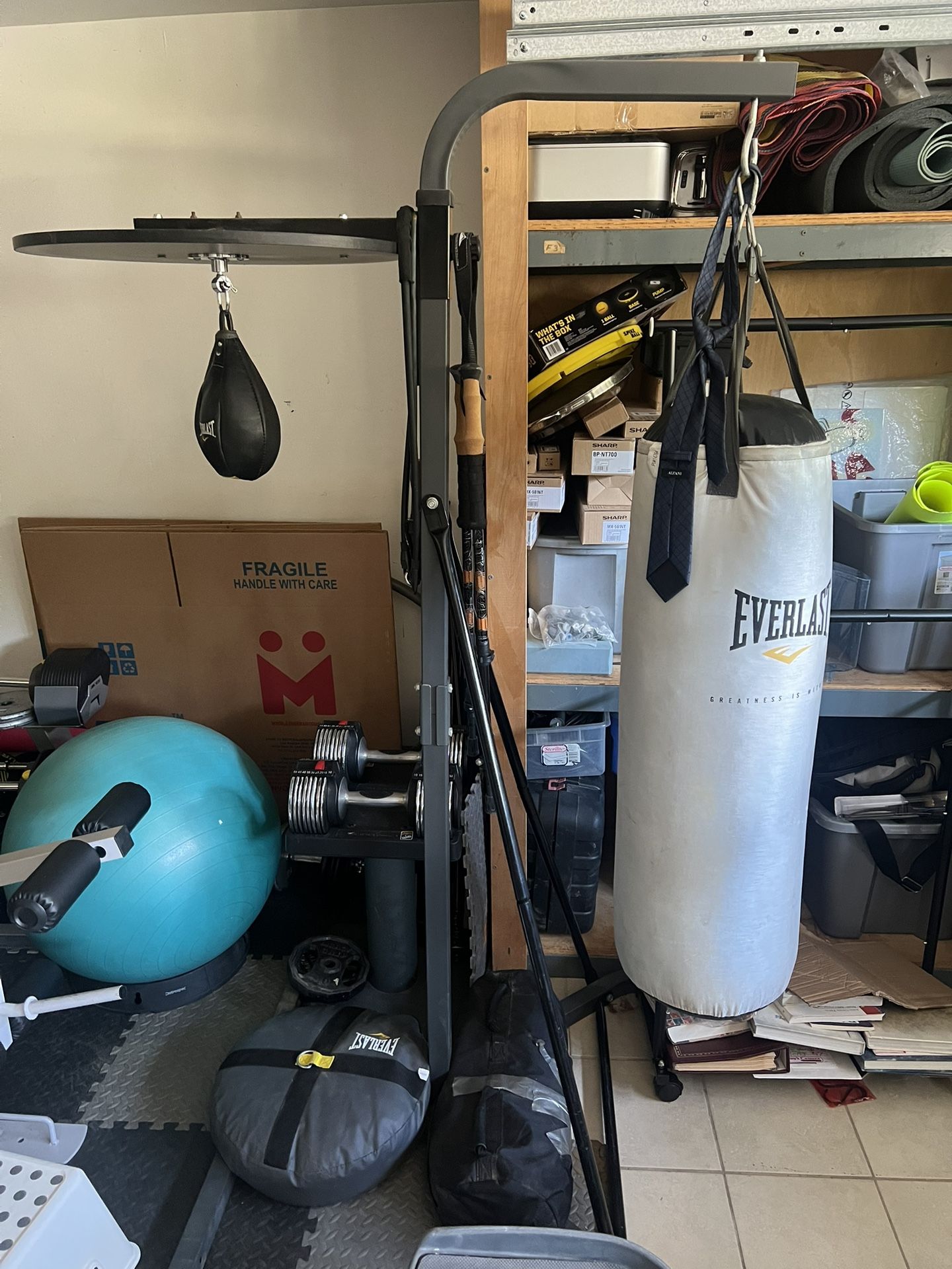Everlast Punching Bag + Stand 