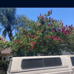 FORD CAMPER LONG BED 