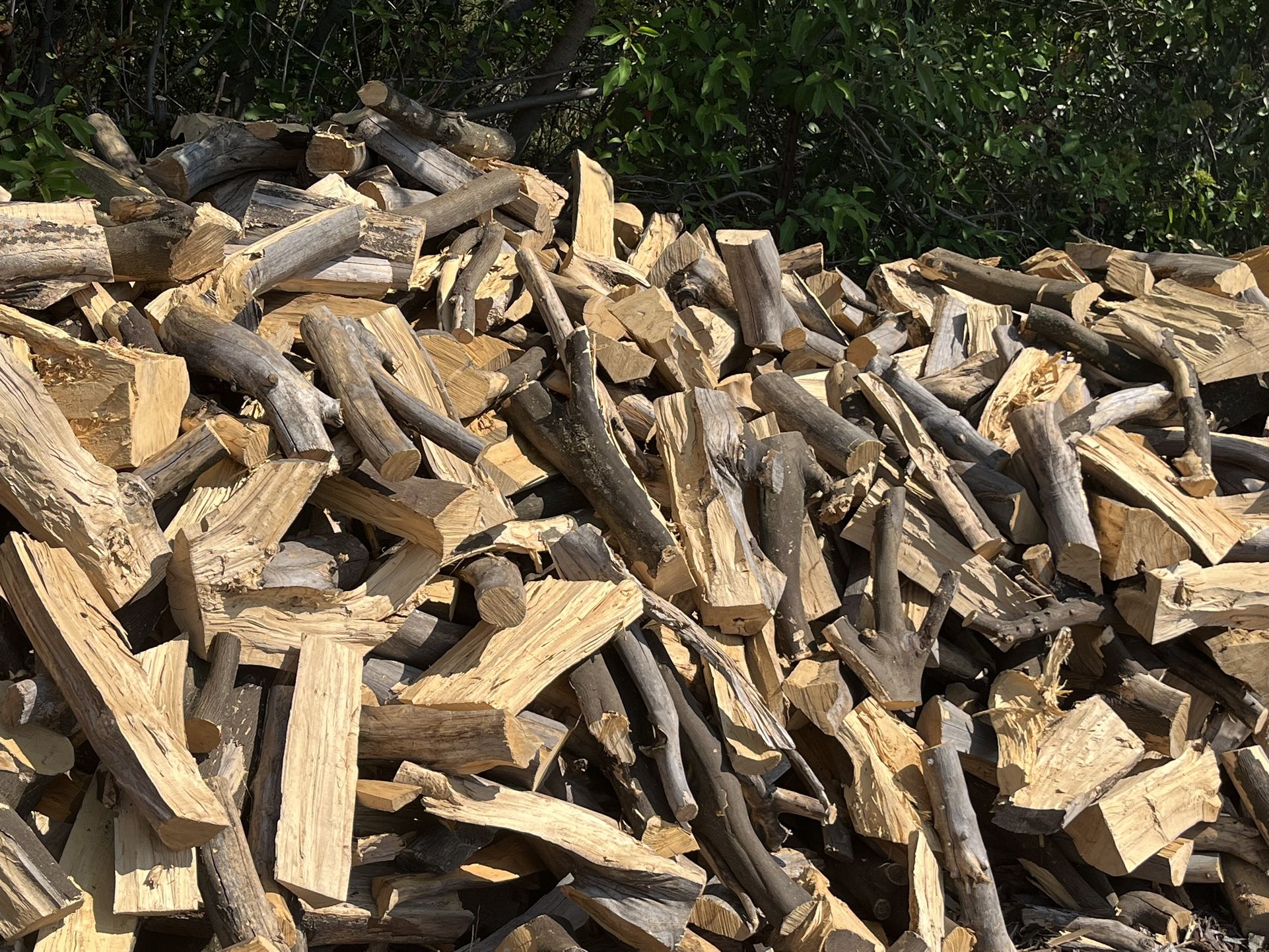 Firewood 