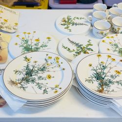 Villeroy & Boch Dishes and More