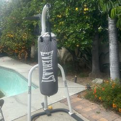 Everlast Heavy/Speed Bag!