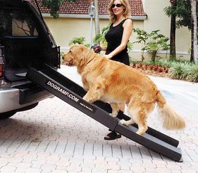 Dog ramp for cars