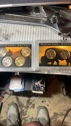 Westwood buffalo  nickels